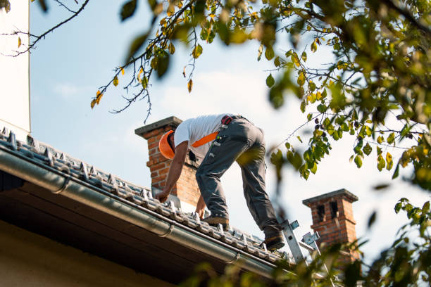 Best Gutter Installation and Roofing  in Croswell, MI