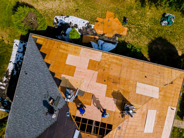 Best Roofing Contractor Near Me  in Croswell, MI