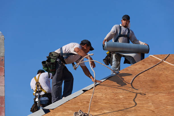 Best Roof Maintenance Services  in Croswell, MI
