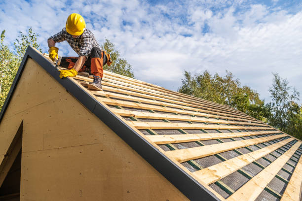 Best Roof Gutter Cleaning  in Croswell, MI